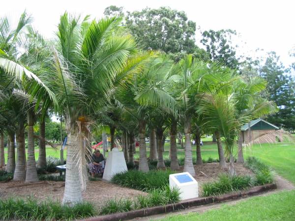 Beaudesert WWII war memorial (Palm Garden)  | 
