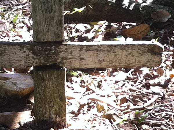 Daniel CLOWES?  |   | Clowes Graves, Tom Jeffery Memorial Park, Agnes Water, Gladstone Region  |   | 