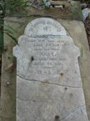 
Edward CAIN
17 Dec 1899
aged 64

wife
Mary
29 Jun 1913
aged 89

Albany Creek Cemetery, Pine Rivers
