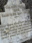 Daniel JUNGEBERG,
born 30 June 1822 died 29 Sept 1901;
Alberton Cemetery, Gold Coast City