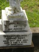 William George Edward (Teddy) DENT,
died 18 Jan 1938 aged 5 years 3 months;
Appletree Creek cemetery, Isis Shire