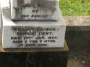 William George Edward (Teddy) DENT,
died 18 Jan 1938 aged 5 years 3 months;
Appletree Creek cemetery, Isis Shire