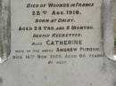 Andrew PURDON,
husband father,
born Govan Scotland,
died 22 Oct 1915 aged 78 years;
Janes PURDON,
born Dalby,
died of wounds in France 22 Aug 1918
aged 28 years 5 months;
Catherine,
wife of Andrew PURDON,
died 16 Nov 1923 aged 80 years;
Appletree Creek cemetery, Isis Shire