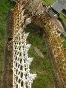 Appletree Creek cemetery, Isis Shire