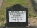 Arthur Ernest SPITTLES,
died 6 Oct 1957 aged 80 years;
Appletree Creek cemetery, Isis Shire