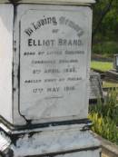 Elliot BRAND,
born 8 April 1855
Little Shelford Cambridge England,
died 17 May 1919 Pialba;
Appletree Creek cemetery, Isis Shire