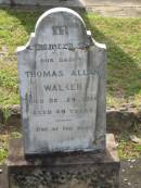 Thomas Allan WALKER,
daddy,
died 29 Dec 1914 aged 49 years;
Appletree Creek cemetery, Isis Shire