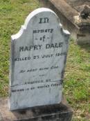 Harry DALE,
killed 27 July 1909,
erected by members of Wirths Circus;
Appletree Creek cemetery, Isis Shire