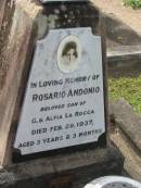 Rosario Andonio,
son of G. & Alfia LA ROCCA,
died 20 Feb 1937 aged 3 years 3 months;
Appletree Creek cemetery, Isis Shire