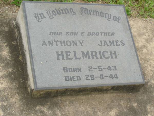 Anthony James HELMRICH,  | son brother,  | born 2-5-43,  | died 29-4-44;  | Appletree Creek cemetery, Isis Shire  | 