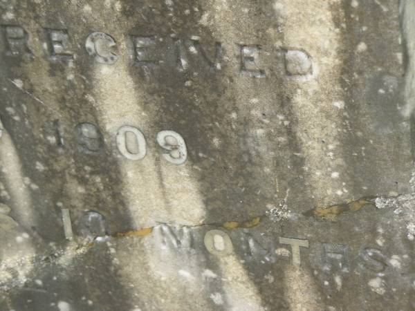 James GRIFFIN,  | husband of Ellen Jane GRIFFIN,  | died of injuries accidentally received  | 6 March 1909 aged 59 years 10 months;  | Appletree Creek cemetery, Isis Shire  |   | 