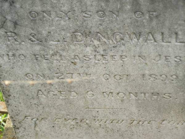 Roderick Douglas,  | only son of R. & L. DINGWALL,  | died 27 Oct 1899 aged 6 months;  | Appletree Creek cemetery, Isis Shire  | 