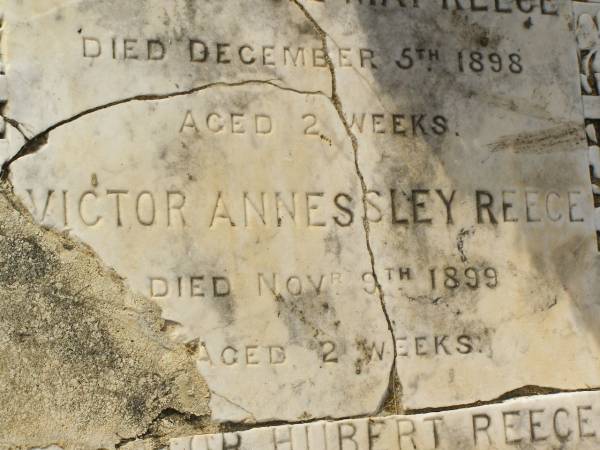 Laura Elsie May REECE,  | died 5 Dec 1909 aged 2 weeks;  | Victor Annessley REECE,  | died 9 Nov 1899 aged 2 weeks;  | Victor? Hubert REECE,  | died 1 April 1901 aged 2 months;  | William Reginald REECE,  | accidentally killed 16 Oct 1907 aged 5 1/2 years;  | Appletree Creek cemetery, Isis Shire  | 