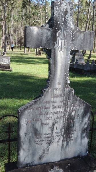 Daniel BUCKLEY  | d 13 Jan 1916 aged 20  | son of Timothy and Catherine BUCKLEY of Alphadale, NSW  |   | Atherton Pioneer Cemetery (Samuel Dansie Park)  |   | 