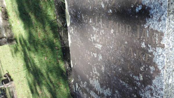 Margaret Elleanor Jane PEAKE  | wife of Thos PEAKE  | d: 28 Jul 1917 aged 53  |   | Thomas PEAKE  | husband of Margaret  | d: Sep 1934  |   | Atherton Pioneer Cemetery (Samuel Dansie Park)  |   |   | 
