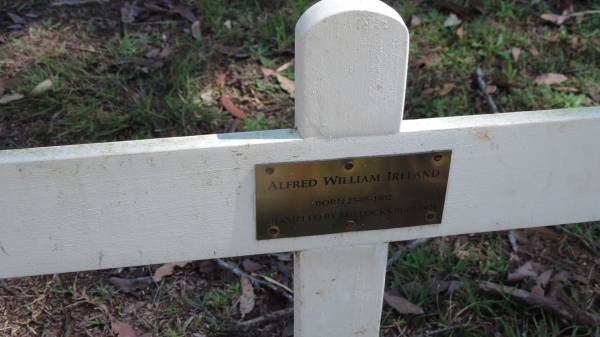 Alfred William IRELAND  | b: 23 May 1902  | d: 1 Feb 1926 (trampled by bullocks)  |   | Atherton Pioneer Cemetery (Samuel Dansie Park)  |   |   |   | 