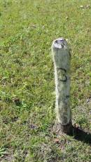 Atherton Pioneer Cemetery (Samuel Dansie Park)