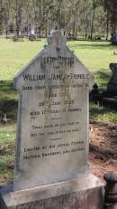 William James TRIMBLE
d: 20 Jan 1925 aged 17y 10 mo from the effects of diving into Lake Lee
Atherton Pioneer Cemetery (Samuel Dansie Park)