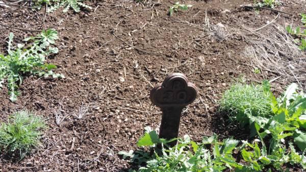 B30  |   | Aubigny Catholic Cemetery, Jondaryan  |   | 