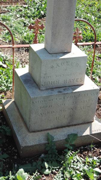 John HAYES  | native of County Cork, Ireland  | d: 21 Nov 1914 aged 76  |   | Aubigny Catholic Cemetery, Jondaryan  |   | 