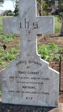 
Mary CONROY
d: 3 Oct 1925 aged 86

husband
Anthony CONROY
d: 26 Jul 1928 aged 82

Aubigny Catholic Cemetery, Jondaryan

