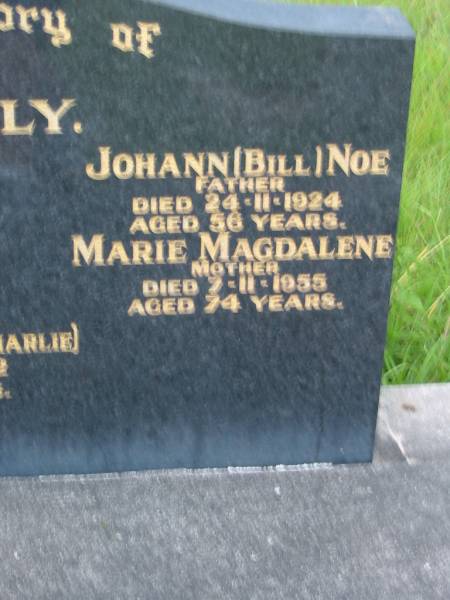 NOE family;  | Ena Ruby,  | died 28-9-1912 aged 1 year;  | Elsie May (Mason),  | died 7-3-1983 aged 82 years;  | Johann (Bill), father,  | died 24-11-1924 aged 56 years;  | Marie Magdalene, mother,  | died 7-11-1955 aged 74 years;  | Alfred Carl (Charlie),  | died 20-5-1912 aged 4 years;  | Barney View Uniting cemetery, Beaudesert Shire  | 