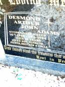 
Desmond Arthur John ADAMS,
accidentally killed,
10-7-1969 - 19-6-1994 aged 24 years,
son husband father brother uncle;
Beerwah Cemetery, City of Caloundra
