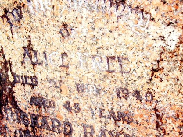 Alice FREE died ?? Nov 1949 aged 45 years;  | Richard Raymond Joseph PITMAN,  | died 10 Dec 1960 aged 2 years;  | Beerwah Cemetery, City of Caloundra  | 