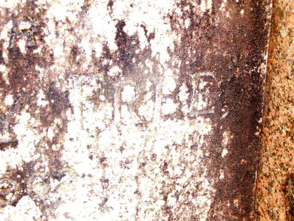 Edward Worthy FREE, father,  | died 16 May 1962 aged 73 years;  | Beerwah Cemetery, City of Caloundra  | 