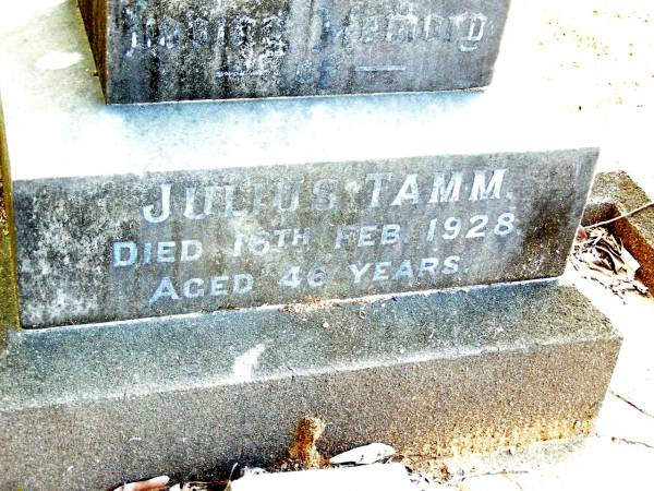 Julius TAMM,  | died 16 Feb 1928 aged 46 years;  | Beerwah Cemetery, City of Caloundra  | 