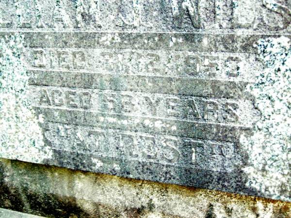 William J. WILSON, husband father,  | died 31-12?-1959 aged 56 years;  | Beerwah Cemetery, City of Caloundra  | 