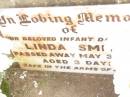 
Linda SMITH,
infant daughter,
died 3 May 1962 aged 3 days;
Bell cemetery, Wambo Shire

