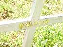 
FALCON;
Bell cemetery, Wambo Shire
