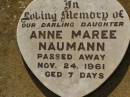 
Anne Maree NAUMANN,
daughter,
died 24 Nov 1961 aged 7 days;
Bell cemetery, Wambo Shire
