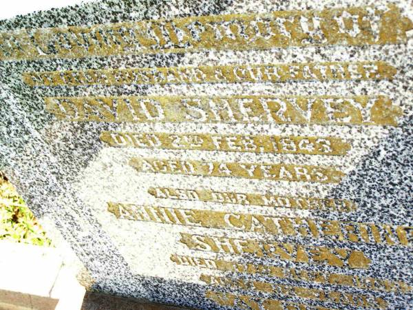David SHERVEY,  | husband father,  | died 2 Feb 1943 aged 74 years;  | Annie Catherine SHERVEY,  | mother,  | died 17 Sept 1963 aged 83 years;  | David John SHERVEY,  | brother,  | died 17 May 1969 aged 61 years;  | Bell cemetery, Wambo Shire  | 