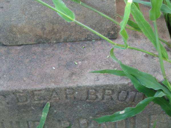 Arthur BRADLEY,  | brother,  | died 21 August 1905;  | Bell cemetery, Wambo Shire  | 