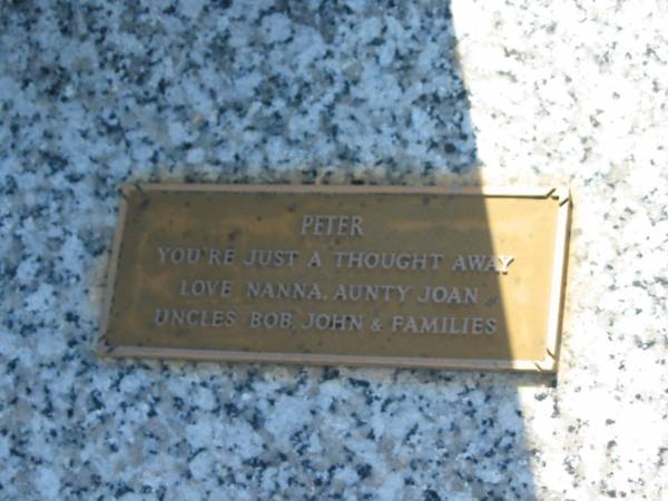 Peter Gordon SORLEY,  | born 27-7-1959,  | husband of Nolene,  | father of Michael-John,  | son of Jim & Jean,  | brother of Judith & Scott,  | aged 24 years,  | remembered by GORDON family, nana, aunty Joan,  | uncles Bob, John & families;  | Bell cemetery, Wambo Shire  | 