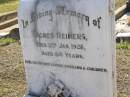 Agnes REIMERS,
died 5 Jan 1928 aged 54 years,
erected by husband & children;
Bergen Djuan cemetery, Crows Nest Shire