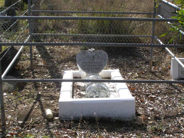 Wilfred STARK,  | died 14 May 1924 aged 4 years;  | Bergen Djuan cemetery, Crows Nest Shire  | 