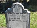 Johann George SCHNEIDER
geb 20 Juni 1900
ges 22 Juni 1903
Bethania Lutheran Church, Bethania, Gold Coast
