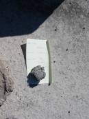 Kaspar GALL
geb 3 Dec 1887
gest 7 Juni 1916
Bethania (Lutheran) Bethania, Gold Coast