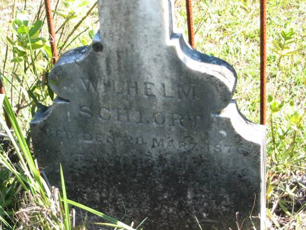 Wilhelm SCHLORT  | geb 20 Marz 1876  | gest ? Aug? 1876  |   | Bethania (Lutheran) Bethania, Gold Coast  | 