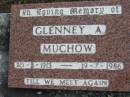 Glenny A MUCHOW
B: 20 Aug 1913
D: 19 Jul 1986
Bethel Lutheran Cemetery, Logan Reserve (Logan City)