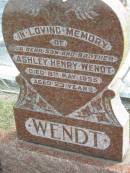 Ashley Henry WENDT
8 May 1955
aged 23
Bethel Lutheran Cemetery, Logan Reserve (Logan City)