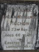 Amelia Wilhelmine MUCHOW
23 Nov 1931
aged 60
Bethel Lutheran Cemetery, Logan Reserve (Logan City)
