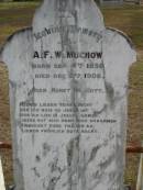 A F W MUCHOW
B: 4 Sep 1858
D: 6 Dec 1906
Bethel Lutheran Cemetery, Logan Reserve (Logan City)
