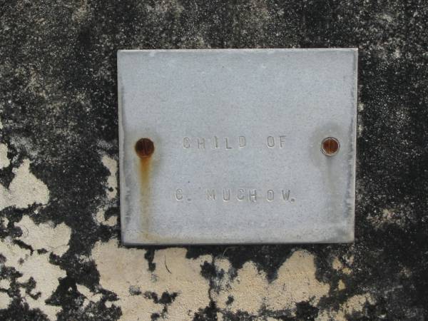 child of C MUCHOW  |   | Bethel Lutheran Cemetery, Logan Reserve (Logan City)  |   | 