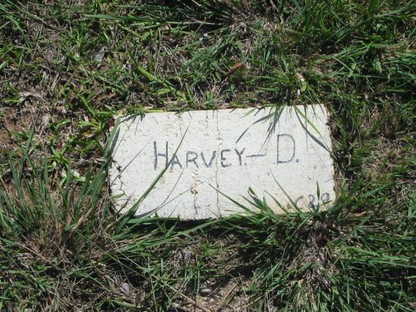 D. HARVEY;  | Blackbutt-Benarkin cemetery, South Burnett Region  | 