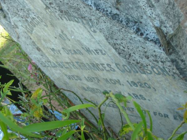 Elizabeth Frances COULSON,  | wife,  | died 19 Nov 1920 aged 65 years;  | Blackbutt-Benarkin cemetery, South Burnett Region  | 