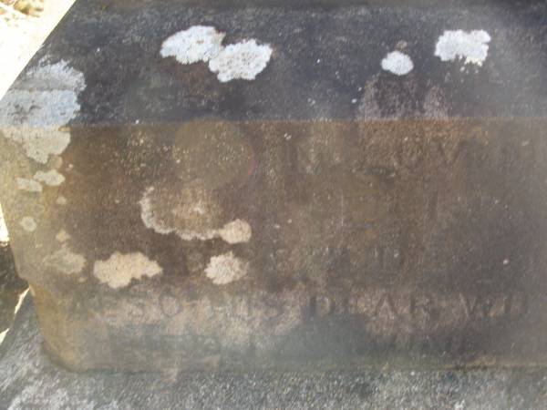 Elijah PACKER,  | died 28 Dec 1902 aged 66 years;  | Mary Ann PACKER,  | wife,  | died 17 June 1907 aged 69 years;  | Blackbutt-Benarkin cemetery, South Burnett Region  | 